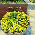 Stay Byulbam - 5Mins To Hyochang Park Station