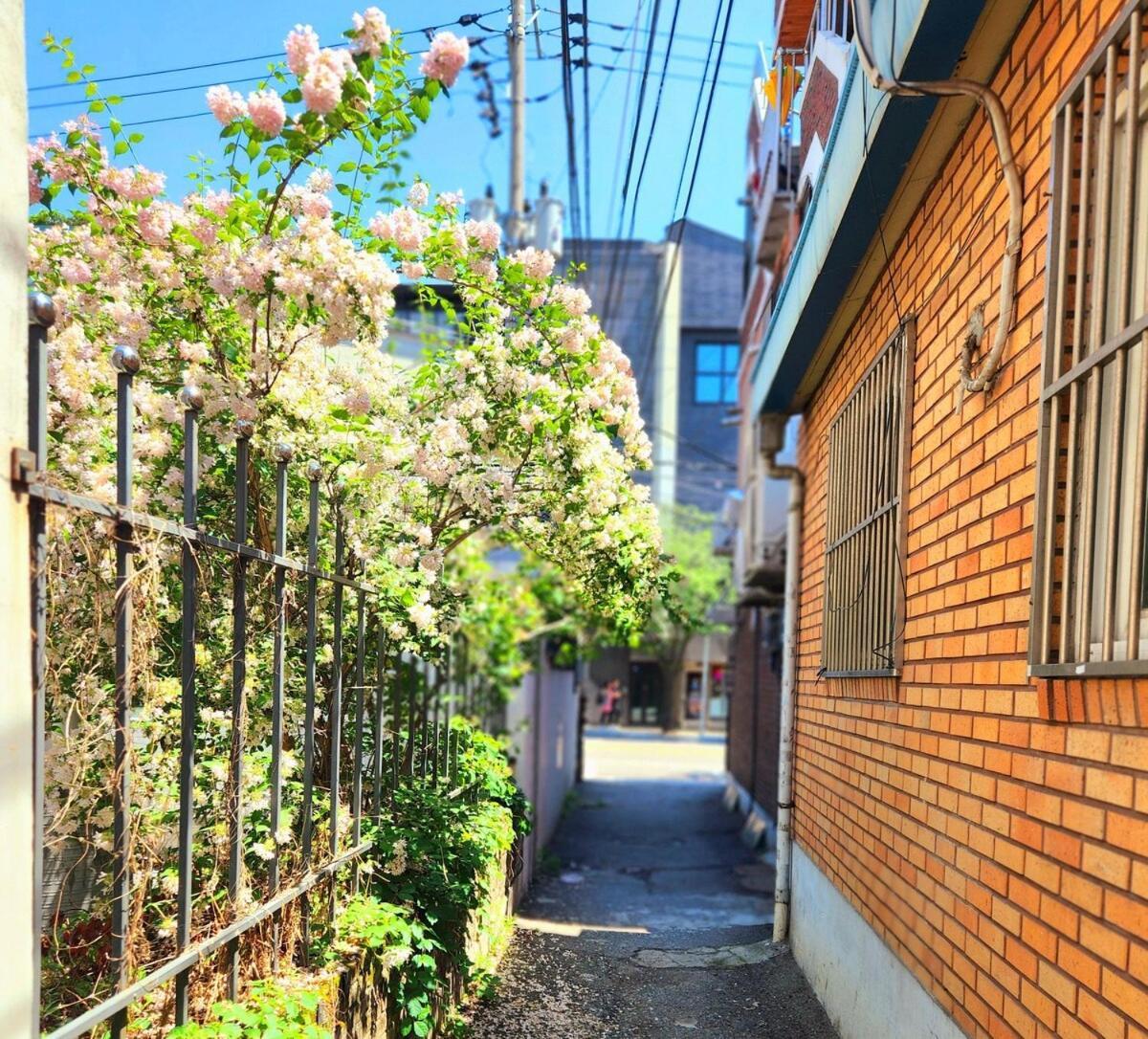 Byulbam - 5mins To Hyochang Park Station * Seoul